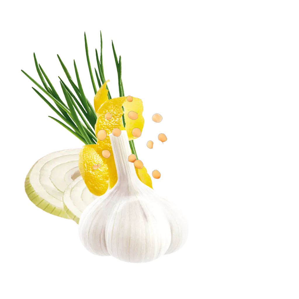 Cesar Salad Content Ru